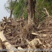 Tengragiri Wildlife Sanctuary